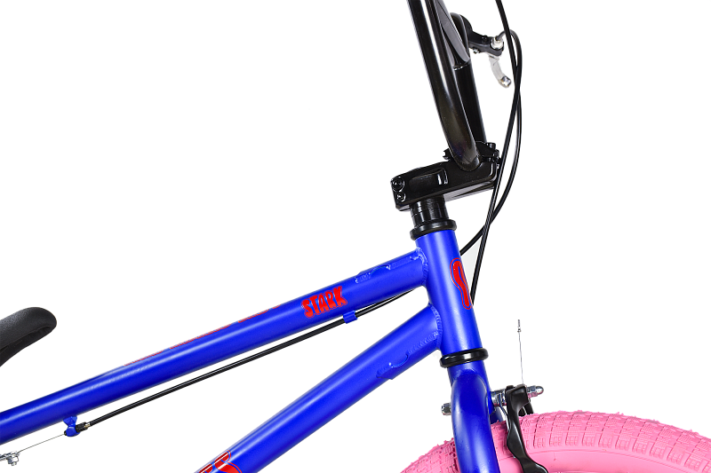 Madness BMX 1 (2025)